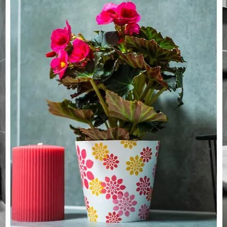 Homely Place Casa Verona - Stary Rynek - Parking Apartment *